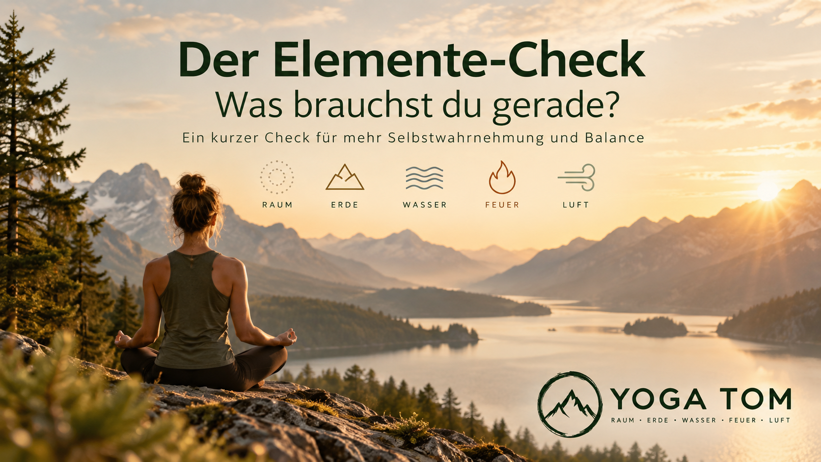 elemente-check
