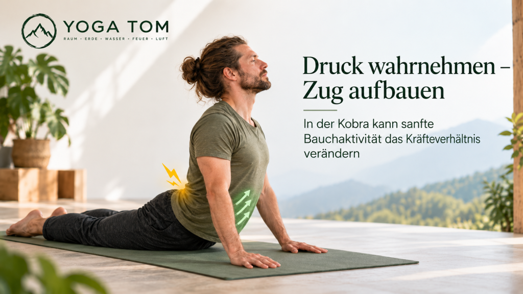 Kobra im Yoga mit Fokus auf Lendenwirbelsäule und Bauchaktivität